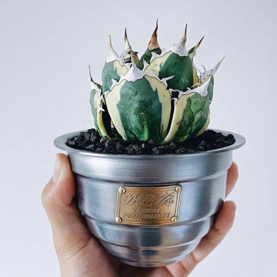 Metal Plant Pot